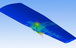Bird Striking Composite Airplane Wing